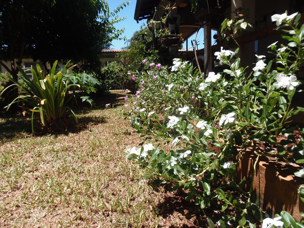 Meliza'S Garden Hotell Foz do Iguaçu Eksteriør bilde