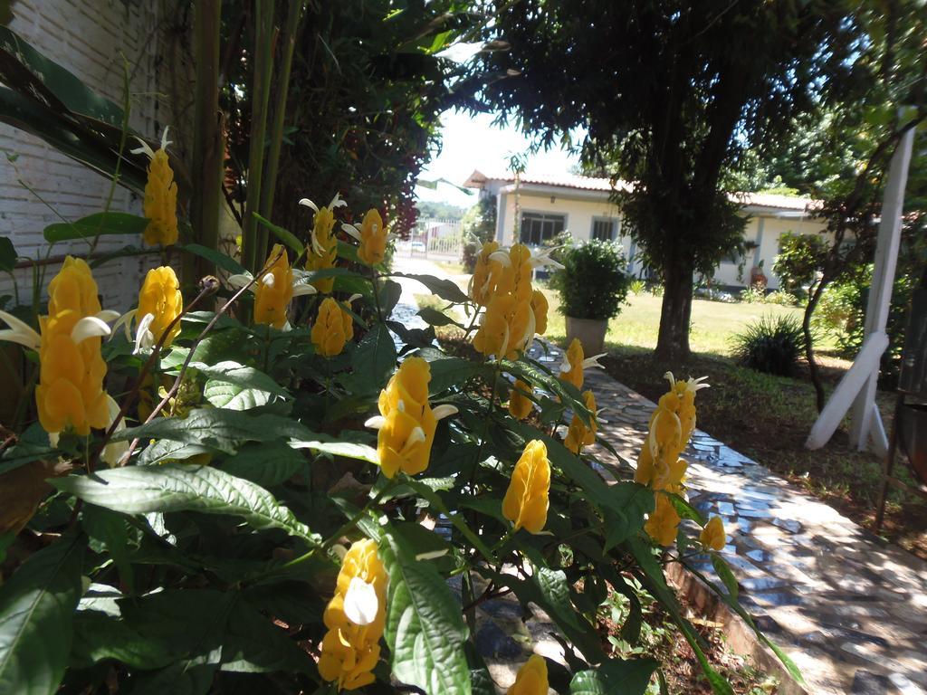 Meliza'S Garden Hotell Foz do Iguaçu Eksteriør bilde